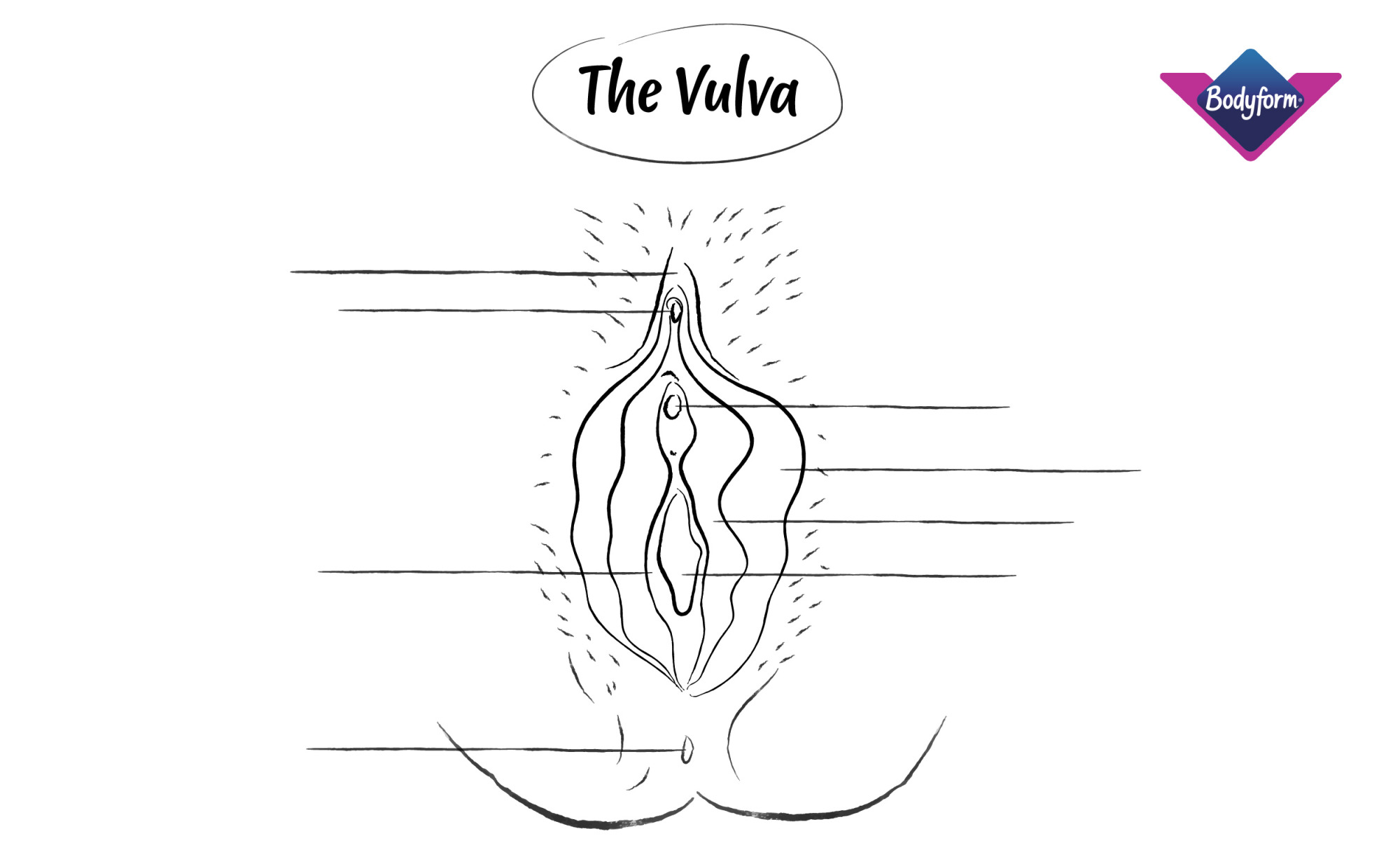 Black and white illustration of a vulva